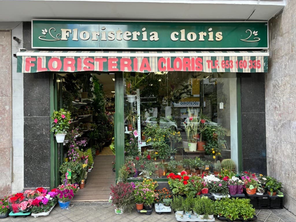 Fachada de Floristería Cloris, con plantas y flores en la entrada.